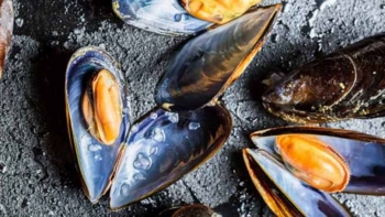Ameaça ácida: os invertebrados, assim como os peixes, são especialmente sensíveis a mudanças rápidas de pH. Ameaça ácida: os invertebrados, assim como os peixes, são especialmente sensíveis a mudanças rápidas de pH.
