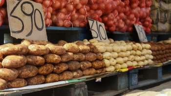 Banco Mundial desbloqueia financiamentos para prevenir insegurança alimentar